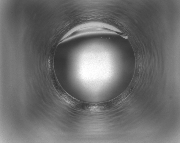 X0000052990268200508051115