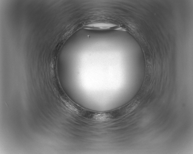 X0000052990269200508051116