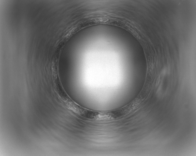 X0000052990270200508051116