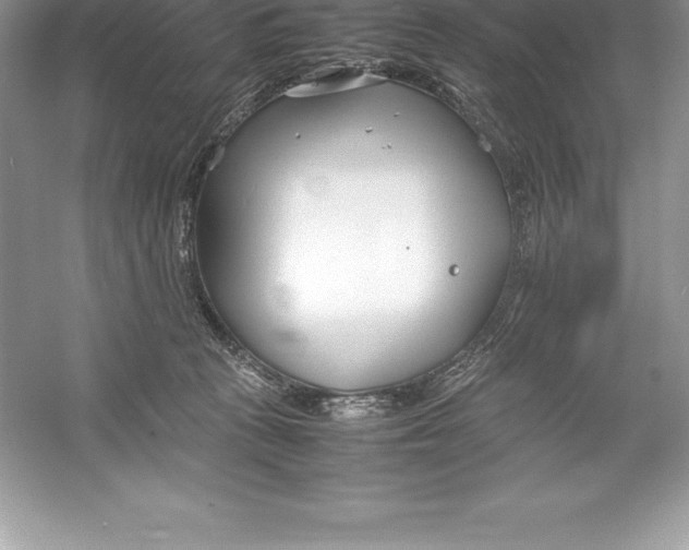 X0000052990273200508051116