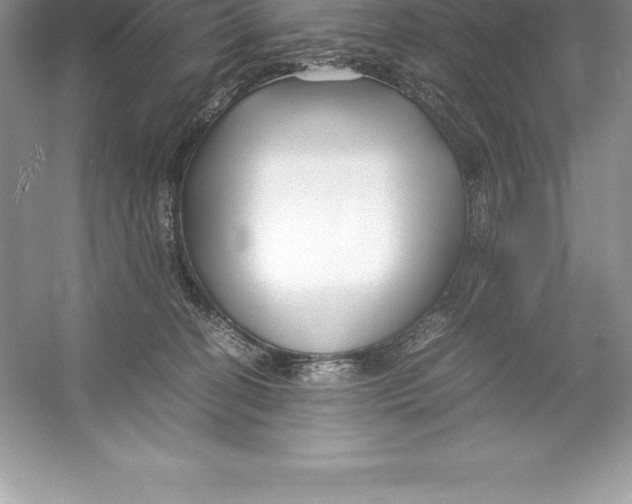 X0000052990274200508051116