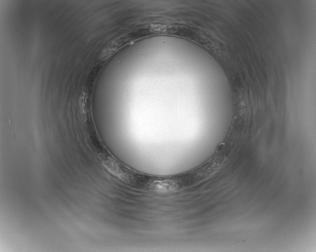 X0000052990275200508051116