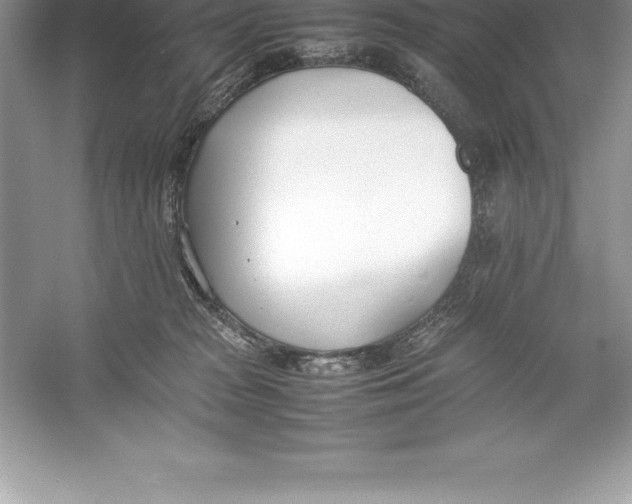 X0000052990277200508051116