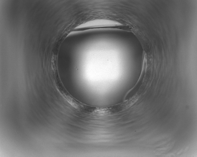 X0000052990280200508051116