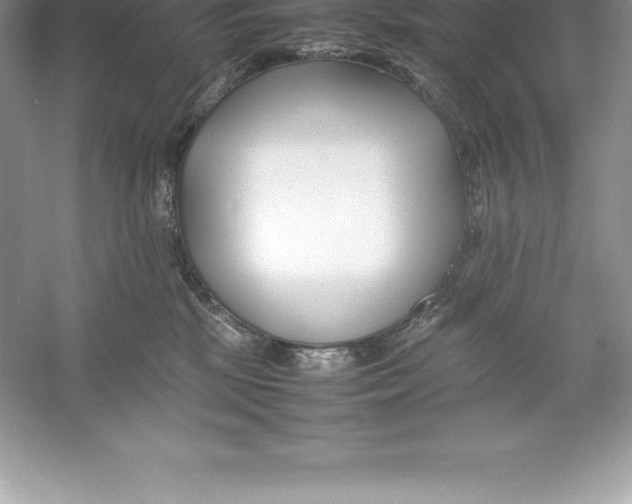 X0000052990281200508051116