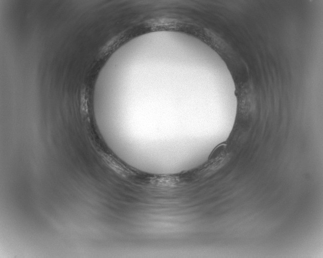 X0000052990282200508051116