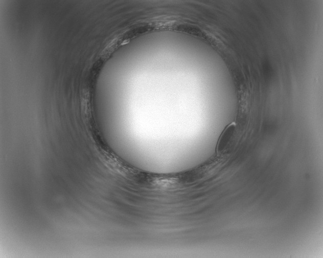 X0000052990283200508051116