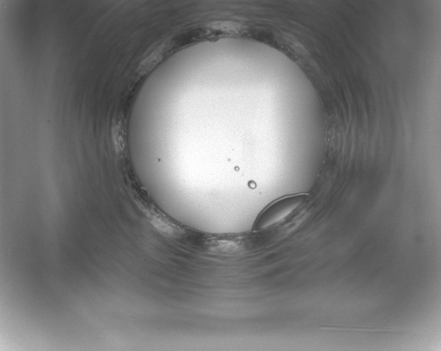 X0000052990285200508051116