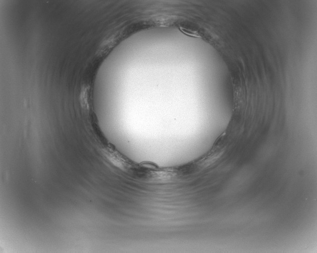 X0000052990286200508051116