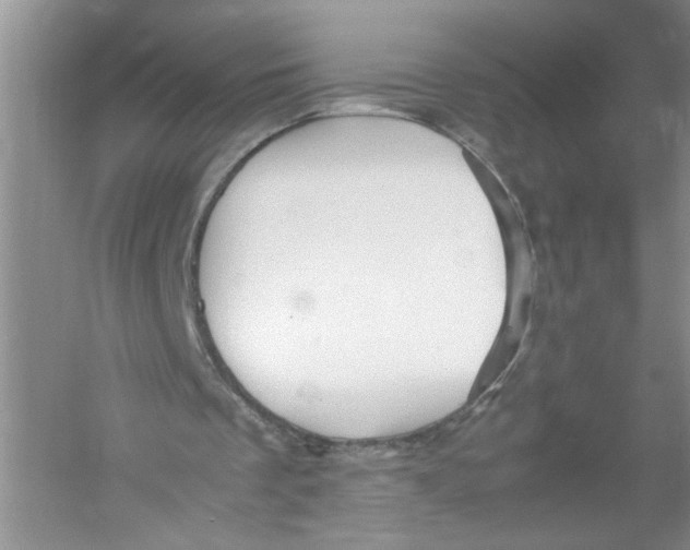 X0000052990289200508051115