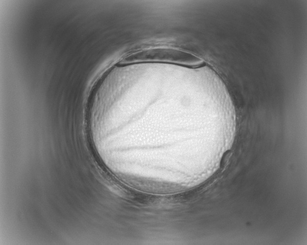 X0000052990293200508051115