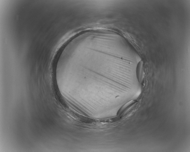 X0000052990295200508051115