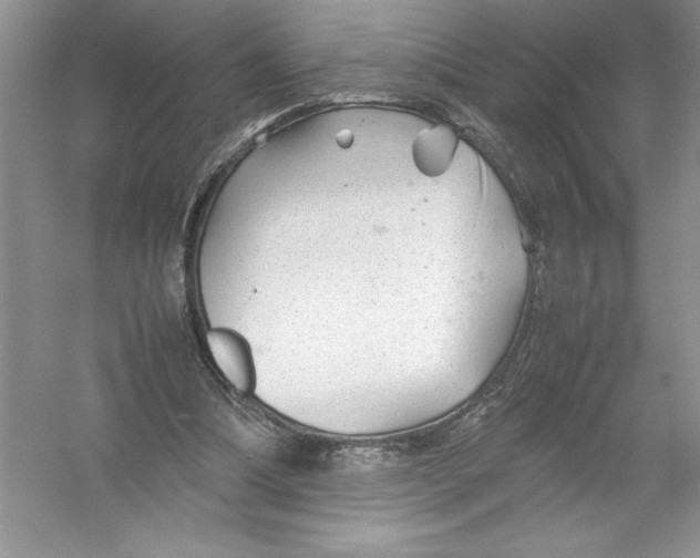 X0000052990298200508051115