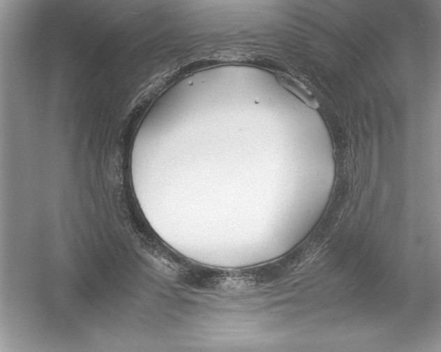 X0000052990303200508051115