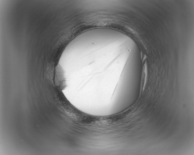 X0000052990307200508051115