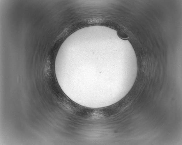 X0000052990308200508051115