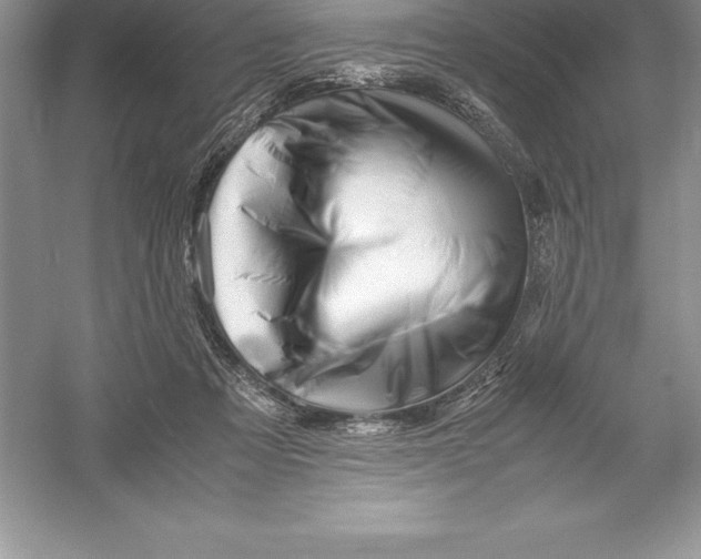 X0000052990313200508051115