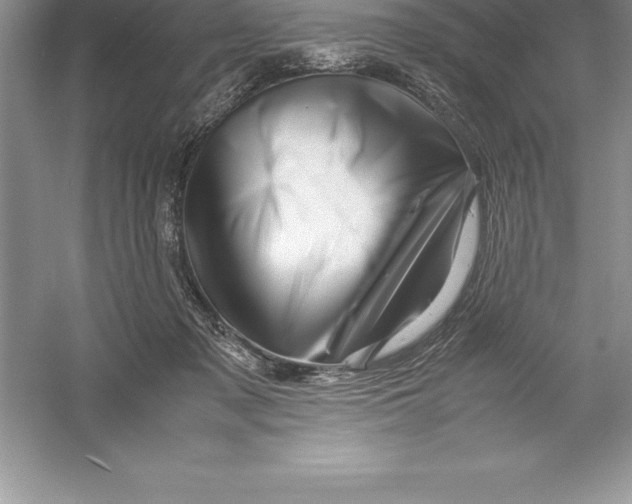 X0000052990317200508051115