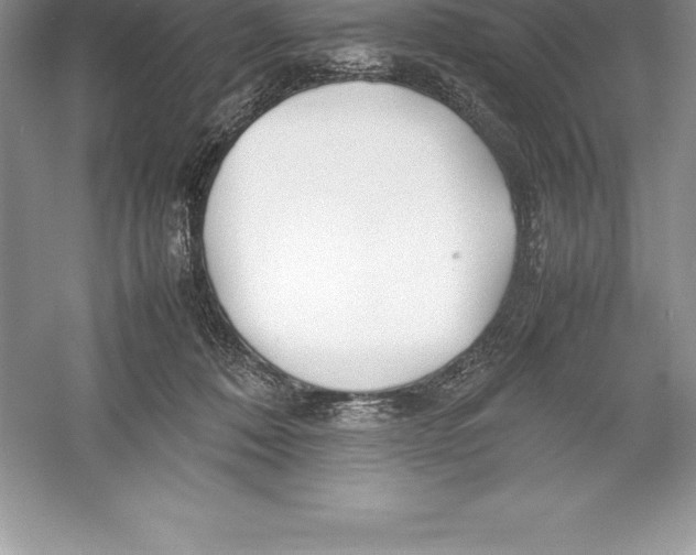 X0000052990320200508051114