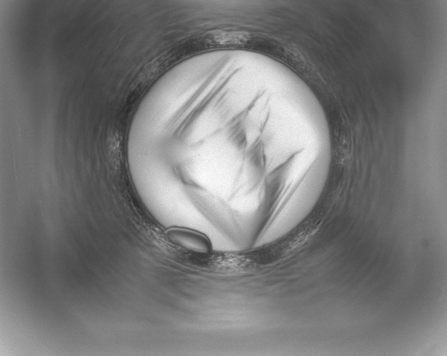 X0000052990321200508051114