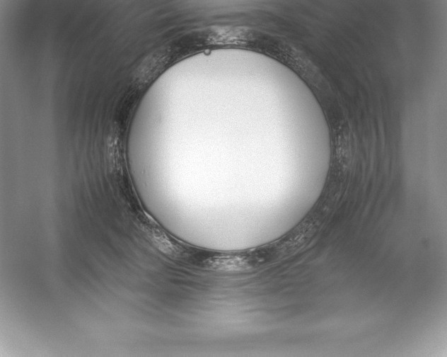 X0000052990322200508051114