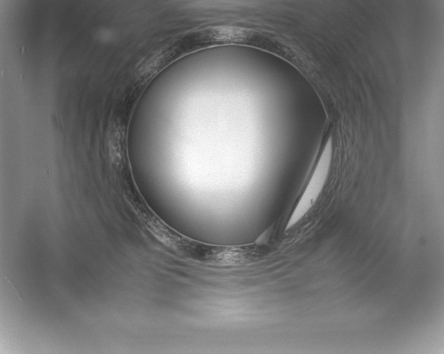 X0000052990325200508051114