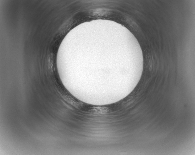 X0000052990328200508051114