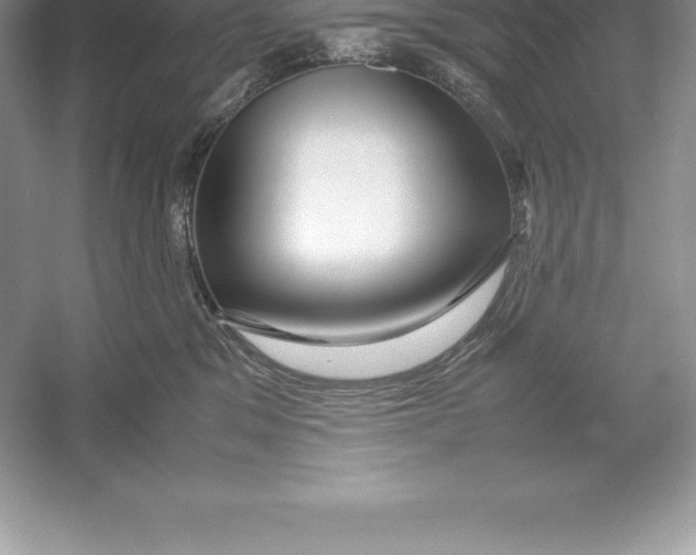 X0000052990329200508051114