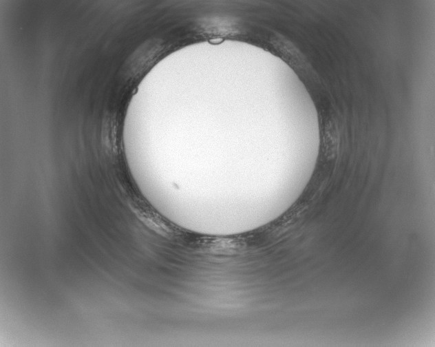 X0000052990330200508051114