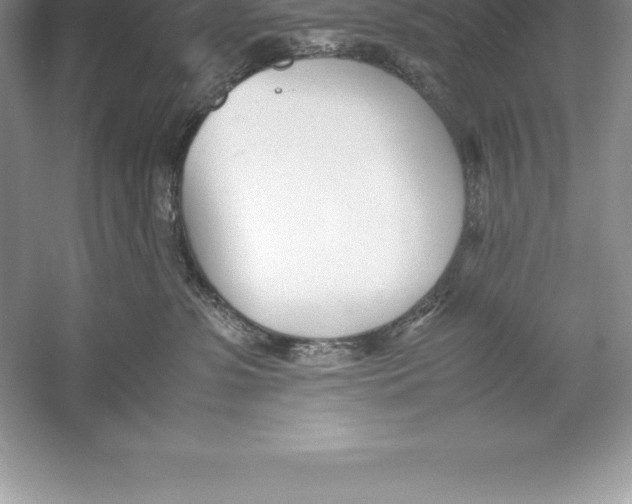 X0000052990331200508051114