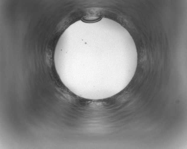 X0000052990332200508051114