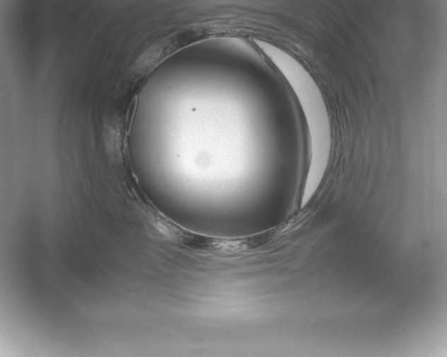 X0000052990333200508051114