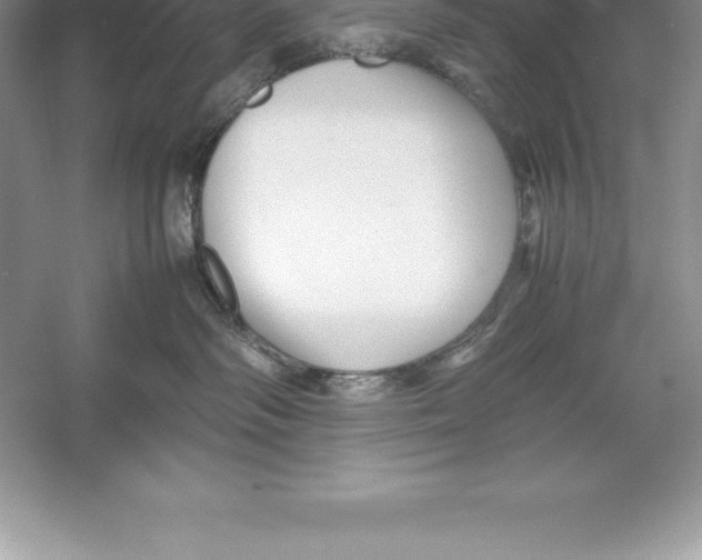 X0000052990334200508051114