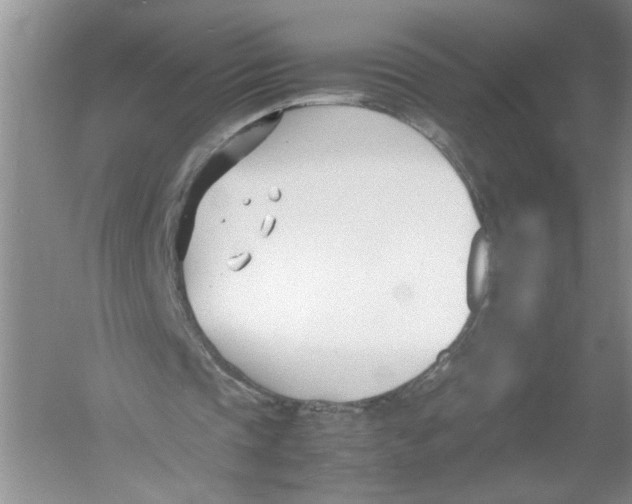 X0000052990337200508051113