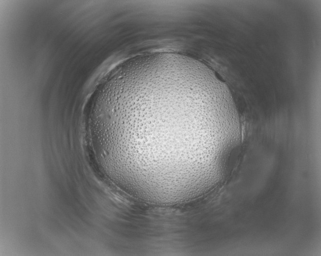 X0000052990339200508051113