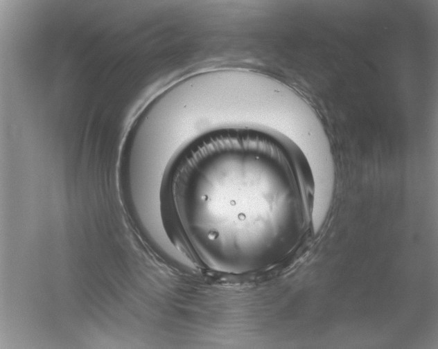 X0000052990340200508051113