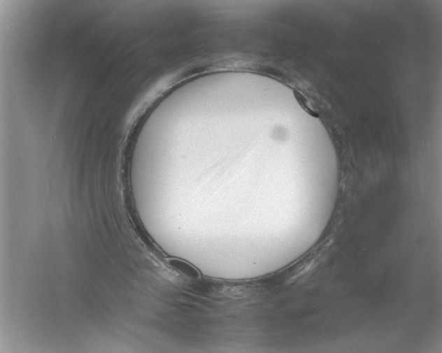 X0000052990341200508051113