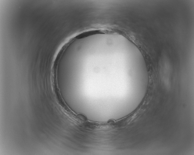 X0000052990342200508051113