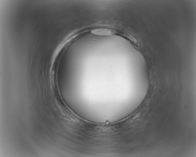 X0000052990343200508051113