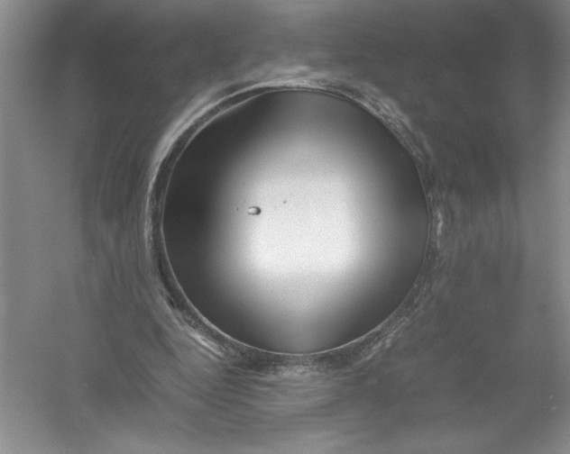 X0000052990344200508051113