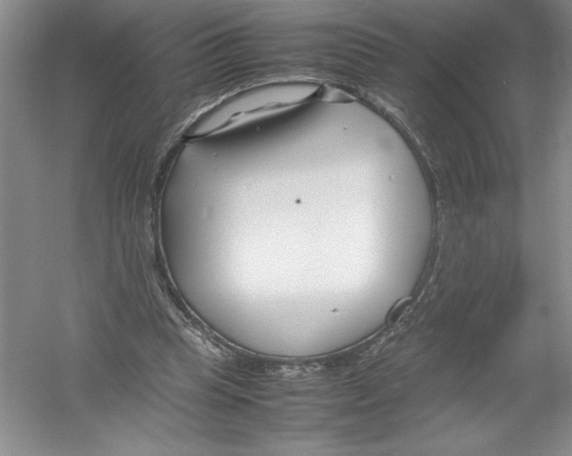 X0000052990345200508051114