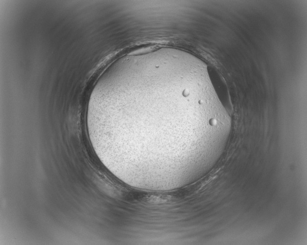 X0000052990346200508051114