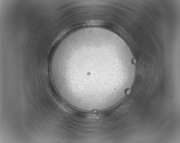 X0000052990347200508051114