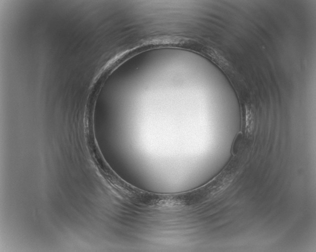 X0000052990348200508051114