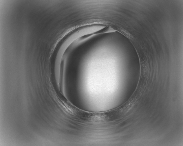 X0000052990350200508051114