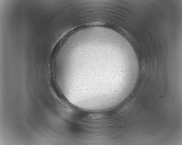 X0000052990351200508051114