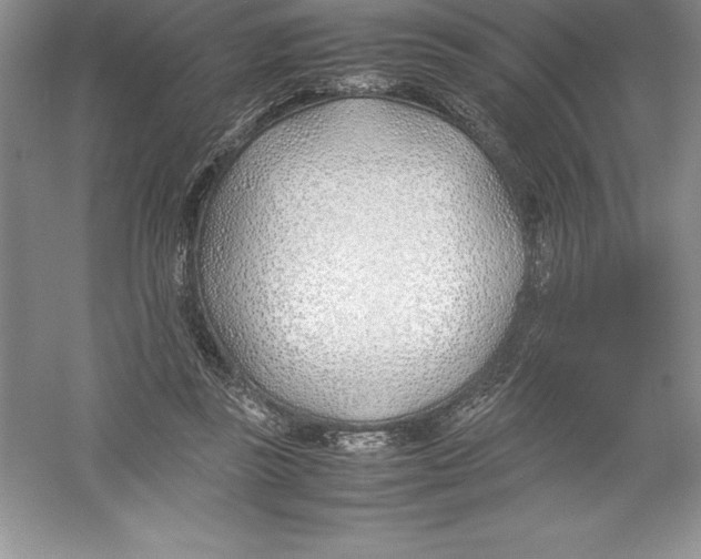 X0000052990355200508051114