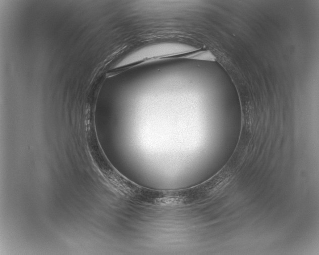 X0000052990356200508051114