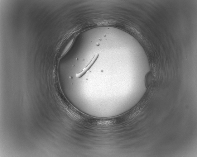 X0000052990357200508051114