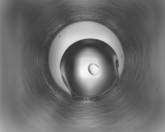 X0000052990360200508051114